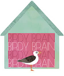Birdybrain logo