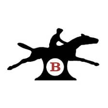 Bourneys logo