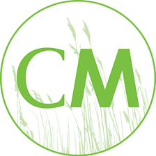 ClimeMET logo