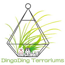 DingaDing logo