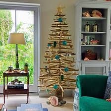 Eco Christmas Tree logo