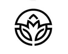 Fighter Shots logo