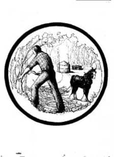 Ben May logo