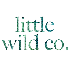 Little Wild Co. logo