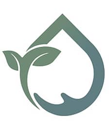 QiEco logo