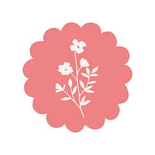 Rachel Bronwen Illustration logo