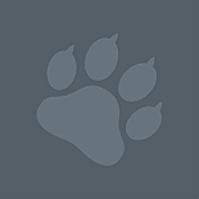 Ralphie Bear logo