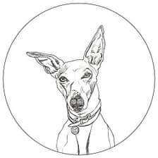 Rosie Noses logo
