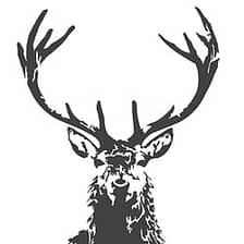 Shindigg logo