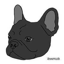 SnaffleS logo