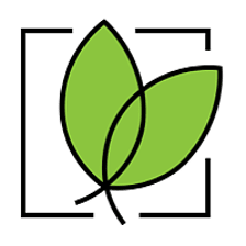 Sow Your Own logo