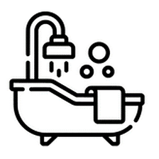 The Fizz Bizz logo